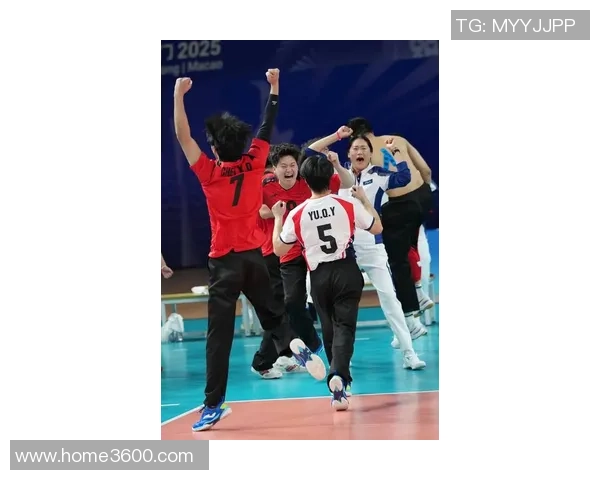 杭州排球队技术实力大幅提升引领排球新风潮